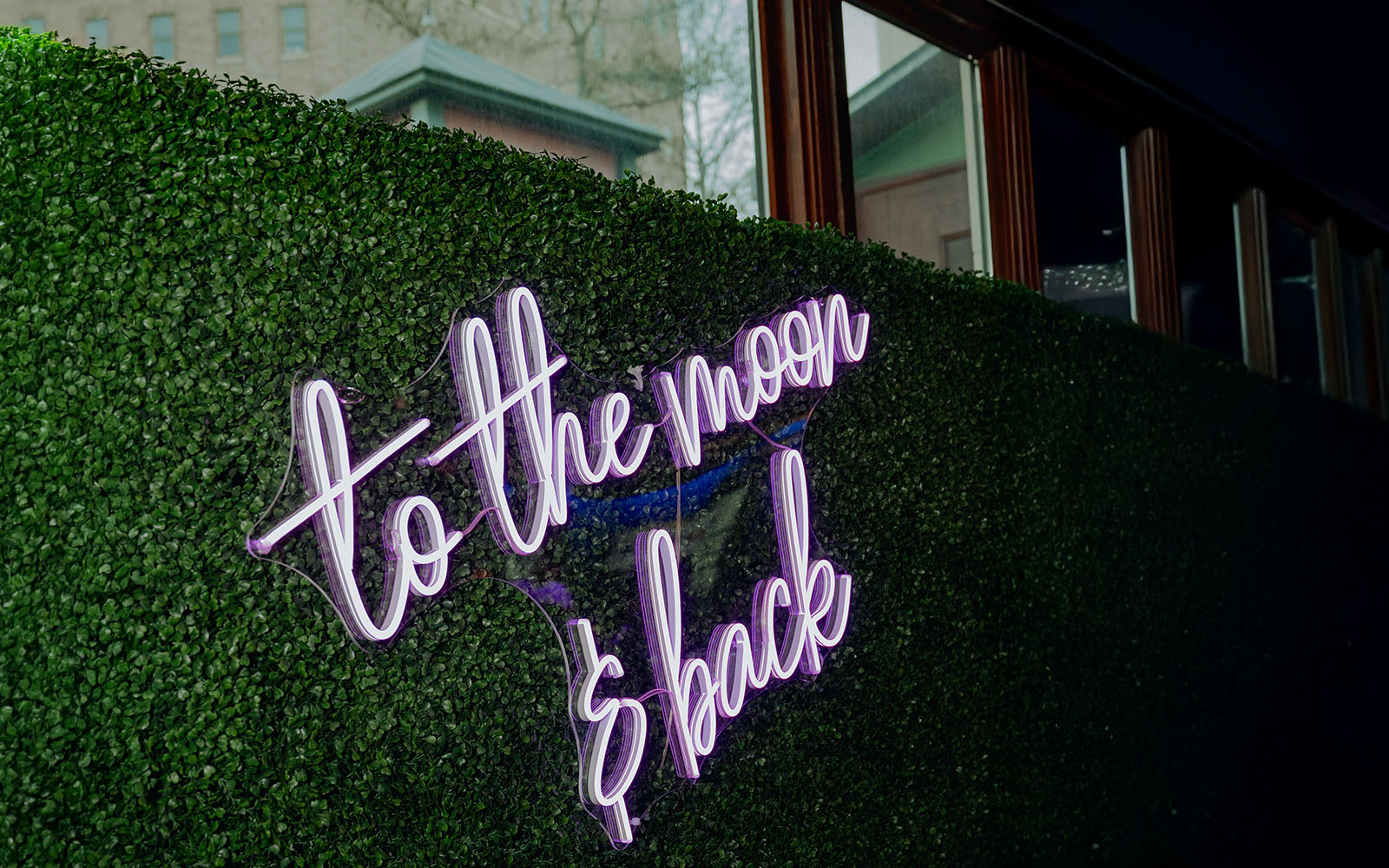 To the moon and back neon sign